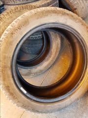 ΕΛΑΣΤΙΚΑ SAVA 195/55R16 ESKIMO HP-thumb-2