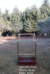 Παπαγαλάκια μπατζι-thumb-12
