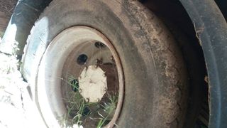Ψυκτικοί Θάλαμοι Mercedes-Benz 1994