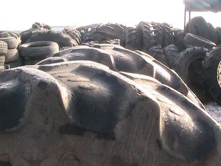 elastika olon ton etairion  -thumb-3
