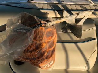 Bayliner 1997 2052 LS CAPRI CABIN SPECIAL ED-thumb-55