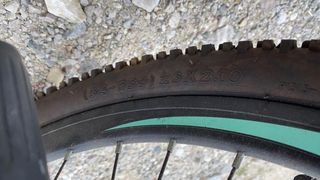 All - Mountain 2019-thumb-29
