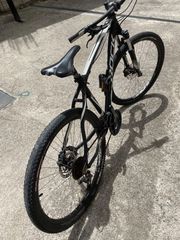 All - Mountain 2019-thumb-35
