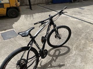 All - Mountain 2019-thumb-36