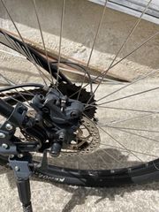 All - Mountain 2019-thumb-39