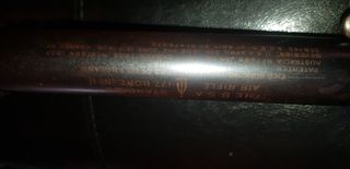 Bsa no1 standard-thumb-2