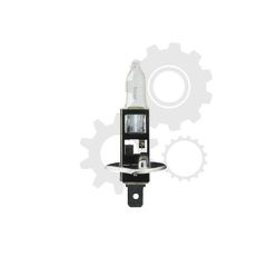 Λάμπα 1 987 302 012