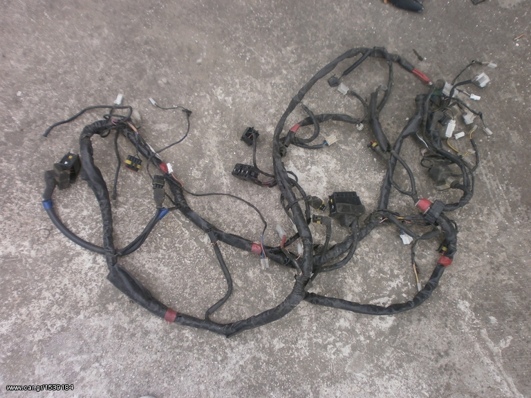 pleksouda injection apo beverly 250