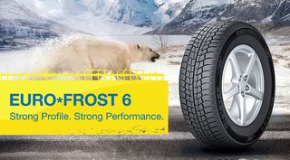 205/65/15 94T GISLAVED EURO FROST 6