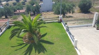 οικόπεδο Κασανδρεία Χαλκιδική-thumb-3