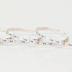 Ταινία LED PRO 5m 10W 24V με δυνατότητα εναλλαγής χρωμάτων RGBCCT IP20 μη στεγανή κατάλληλη για εσωτερικό χώρο