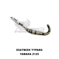 ΕΞΑΤΜΙΣΗ YYPANG RACING Z-125