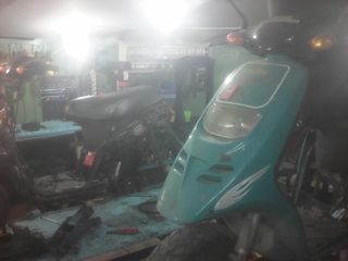 Piaggio typhoon 80 & 50-thumb-4