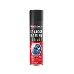 Σπρέι Γράσο Θαλάσσης Facom 300ml 00-6110