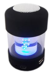 PowerTech PT-127 Φορητά Ηχεία με Ραδιόφωνο