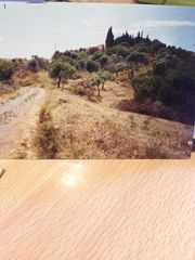 Οικόπεδο   1700 Μ-thumb-1