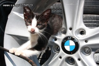 ΠΩΛΗΣΗ ΧΟΝΔΡΙΚΗ  BAVARIAN MOTORS-thumb-126