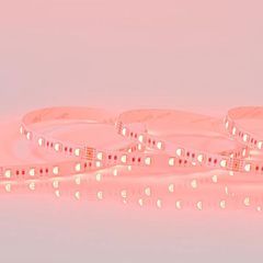 Ταινία LED 5m 16W 24V RGBW + 6500k 60l/m IP20 κατάλληλη για εσωτερικό χώρο