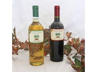 Ιταλικός οίνος Castelli Romani
