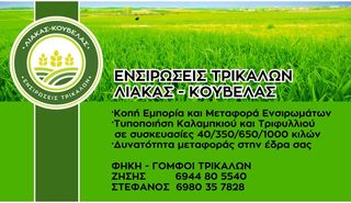 ΕΝΣΙΡΩΣΗ ΠΟΙΟΤΗΤΑΣ A ΚΑΛΑΜΠΟΚΙ-ΤΡΙΦΥΛΛΙ-ΛΟΛΙΟΥΜ-thumb-3