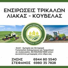 ΕΝΣΙΡΩΣΗ ΠΟΙΟΤΗΤΑΣ A ΚΑΛΑΜΠΟΚΙ-ΤΡΙΦΥΛΛΙ-ΛΟΛΙΟΥΜ-thumb-7
