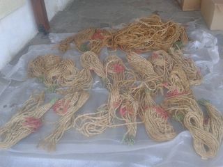 καπιστρια για μοσχαρια και αγγελαδεs