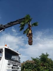 ΓΕΡΑΝΟΜΕΤΑΦΟΡΕΣ ΠΑΝΤΟΣ ΤΥΠΟΥ ΥΠΗΡΕΣΙΕΣ ΓΕΡΑΝΟΥ-thumb-2