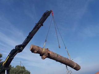 ΓΕΡΑΝΟΜΕΤΑΦΟΡΕΣ ΠΑΝΤΟΣ ΤΥΠΟΥ ΥΠΗΡΕΣΙΕΣ ΓΕΡΑΝΟΥ-thumb-18