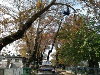 ΓΕΡΑΝΟΜΕΤΑΦΟΡΕΣ ΠΑΝΤΟΣ ΤΥΠΟΥ ΥΠΗΡΕΣΙΕΣ ΓΕΡΑΝΟΥ-thumb-29