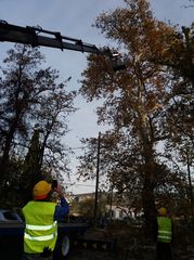 ΓΕΡΑΝΟΜΕΤΑΦΟΡΕΣ ΠΑΝΤΟΣ ΤΥΠΟΥ ΥΠΗΡΕΣΙΕΣ ΓΕΡΑΝΟΥ-thumb-30