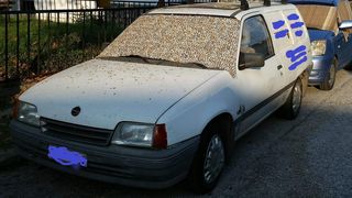 Opel '95
