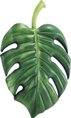 Intex Φουσκωτό Στρώμα Θαλάσσης Palm Leaf Mat (58782)