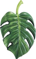 Intex Φουσκωτό Στρώμα Θαλάσσης Palm Leaf Mat (58782)