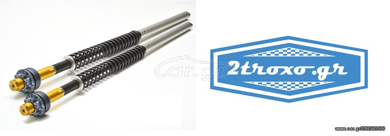 Andreani Misano Kit Cartridge Evo Aprilia Caponord 1000 2001 - 2015