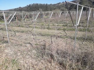υλικά υποστήλωσης αμπελώνα - πασσάλοι - σωλήνες γαλβανιζέ - εξαρτήματα -thumb-24