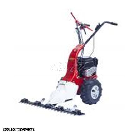 Καταστροφέας χόρτου Alpina Ιταλίας Briggs & Stratton + ΔΩΡΟ ΓΑΝΤΙΑ ΕΡΓΑΣΙΑΣ