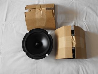 SEAS P21REX/DDP H700 woofers 8"-thumb-2