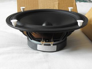 SEAS P21REX/DDP H700 woofers 8"-thumb-4