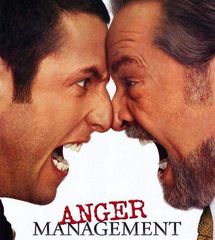 Ταινία Ασκήσεις Ηρεμίας Anger Management DVD Film