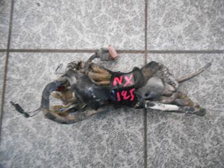 ΠΛΕΞΟΥΔΑ HONDA NX 125