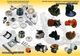 Skid Steer Bobcat 2019 ΕΜΠΟΡΙΑ & SERVICE!!!-thumb-9