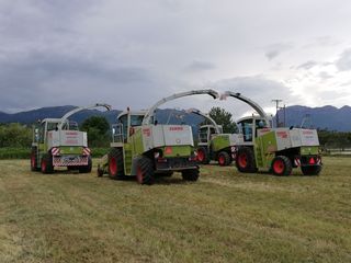 Θεριζοαλωνιστικές Claas 2001 JAGUAR-thumb-5