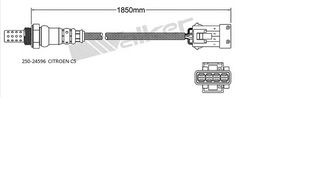 Αισθητήρας λάμδα CITROEN C5 II 