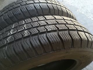 2TMX 155-80-13 SAVA ESKIMO S2-thumb-2