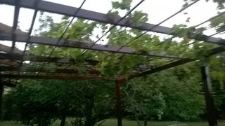 ΥΠΟΣΤΕΓΑ-ΣΚΕΠΑΣΤΡΑ-thumb-1