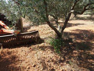 Πετροσυλλέκτες 2018 2ΑΔΕΡΦΙΑ -thumb-4