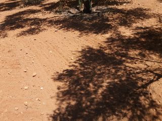 Πετροσυλλέκτες 2018 2ΑΔΕΡΦΙΑ -thumb-5