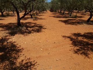 Πετροσυλλέκτες 2018 2ΑΔΕΡΦΙΑ -thumb-9
