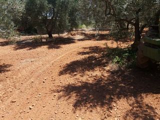 Πετροσυλλέκτες 2018 2ΑΔΕΡΦΙΑ -thumb-11