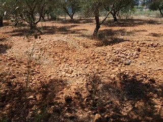 Πετροσυλλέκτες 2018 2ΑΔΕΡΦΙΑ -thumb-13